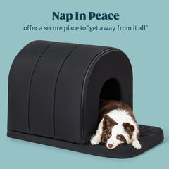 Pelzin Maison Chien Orthopedique interieur, espace prive pour repos calme.