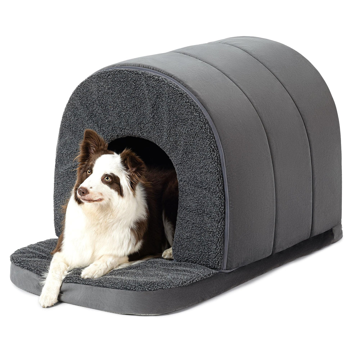 PELZIN maison chien orthopédique avec mousse en nid d'abeille pour confort durable