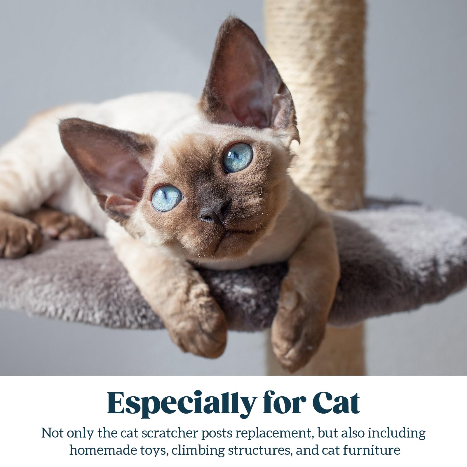 Pelzin — corde sisal naturelle pour projets DIY et jouets sûrs pour chat.