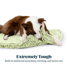 PELZIN Stoutwool lit anti-mâchage, résistant et durable pour chiens agressifs.