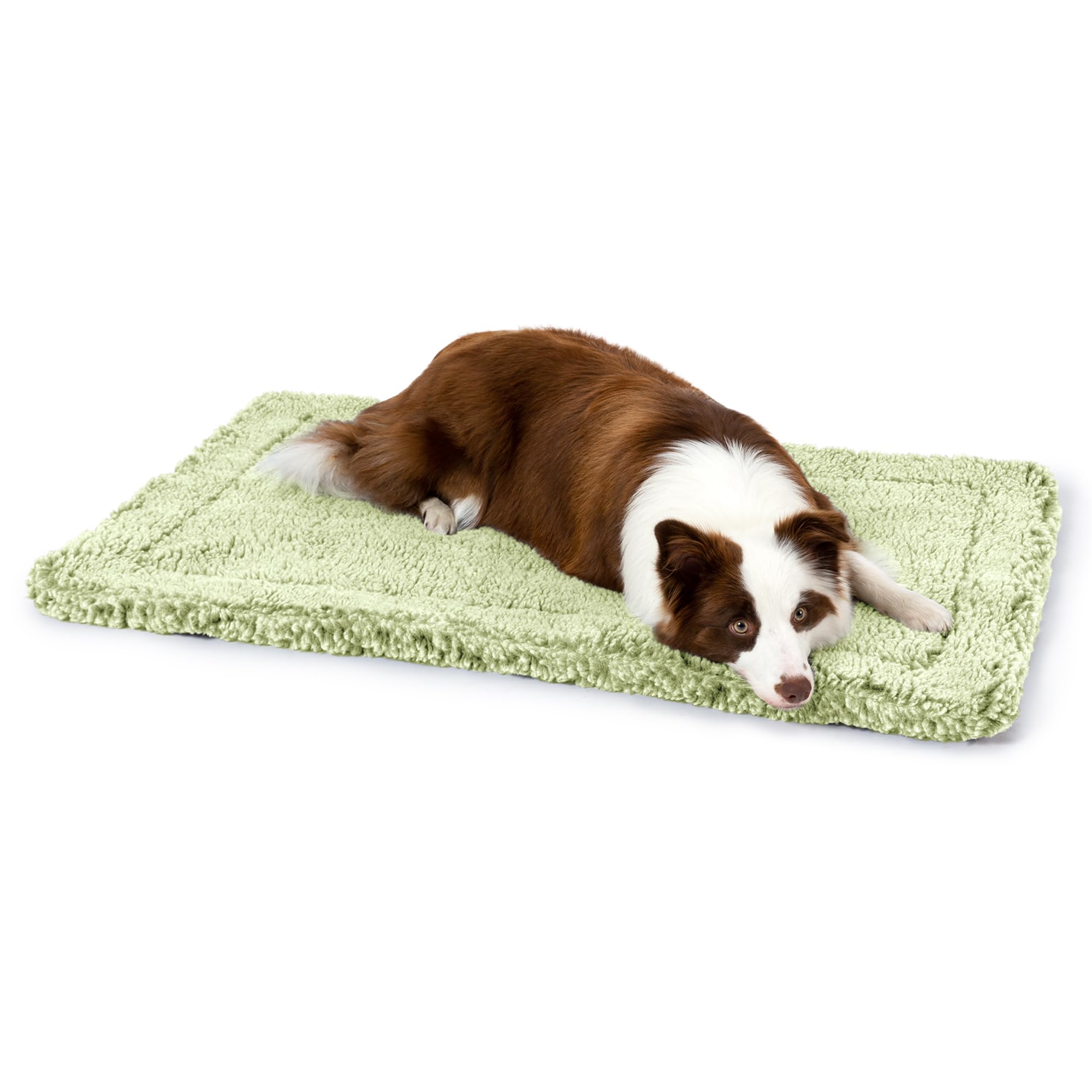 PELZIN Stoutwool lit-chien-indestructible 35x22, adapté pour grandes races et durabilité.