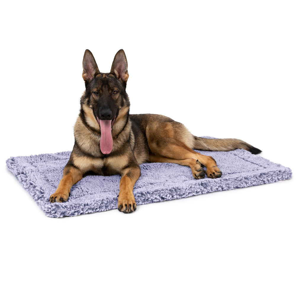 Pelzin Stoutwool lit-densité-lambswool: confort durable pour chiens de grande taille.