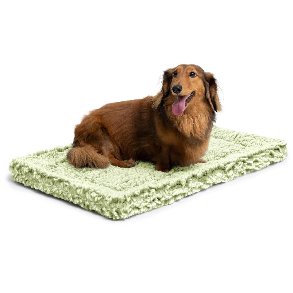 PELZIN Stoutwool, tapis-chien-indestructible: résistance élevée contre morsures et griffures