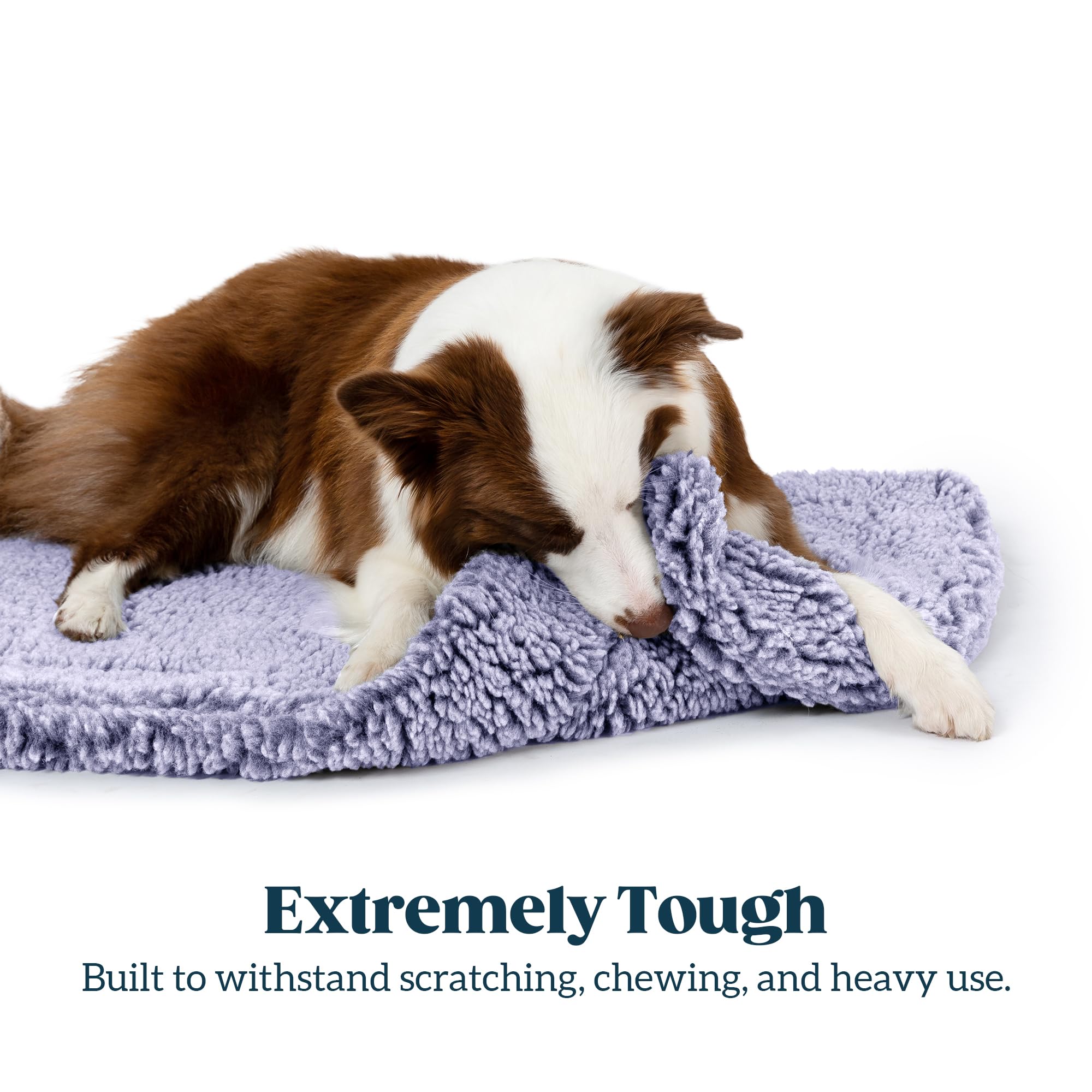 PELZIN Stoutwool tapis confort et respirant pour repos du chien.