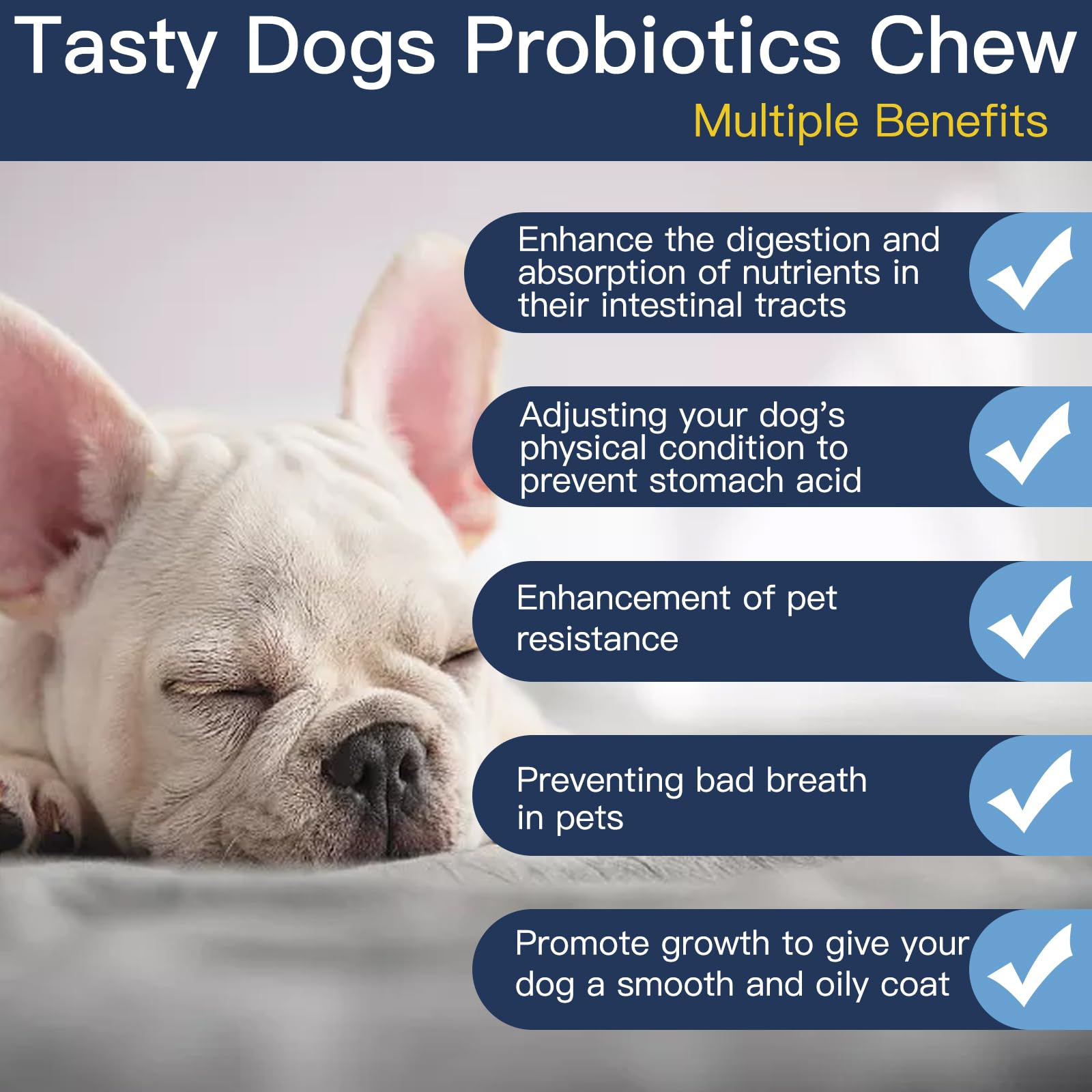 Penkyer Probiotiques chien — bouchées en gros plan, texture appétente.