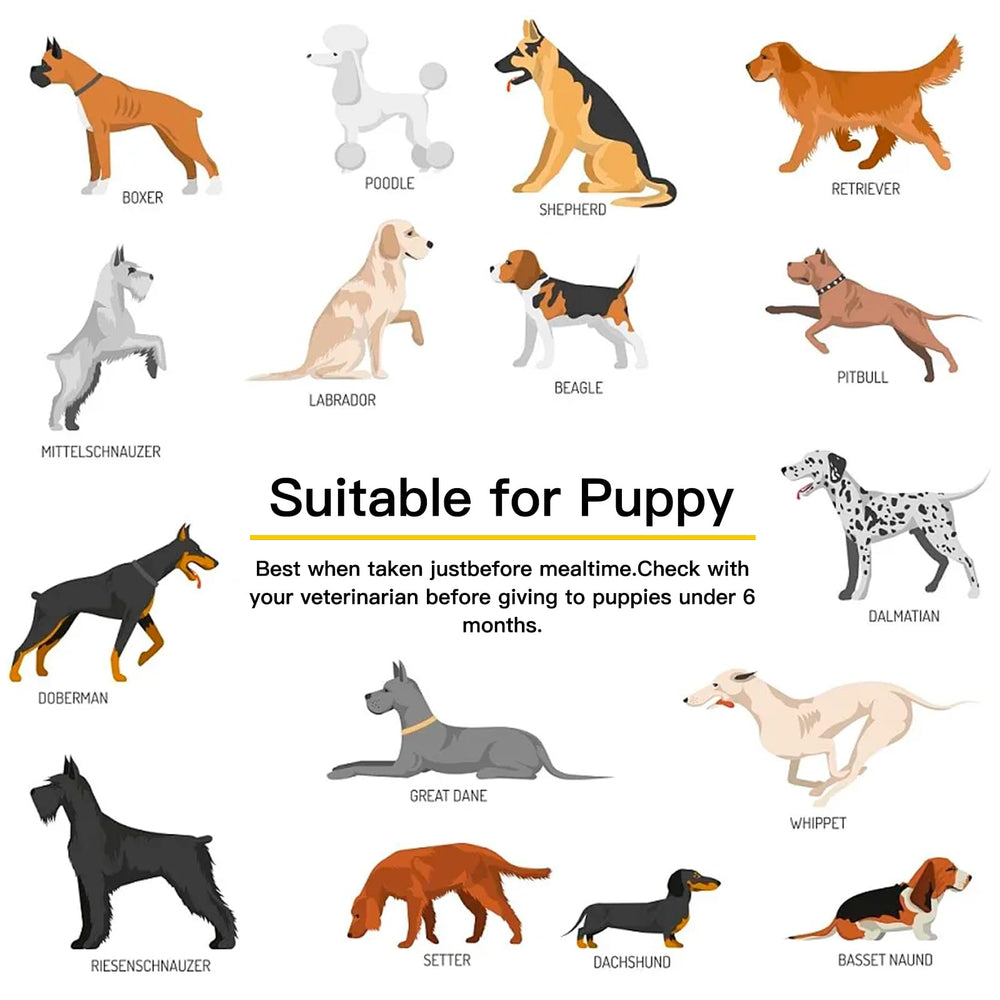 Penkyer Probiotiques chien — pot pratique et stockage facile.