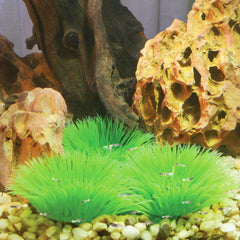 Penn-Plax abri pour alevins, refuge discret dans le bac.
