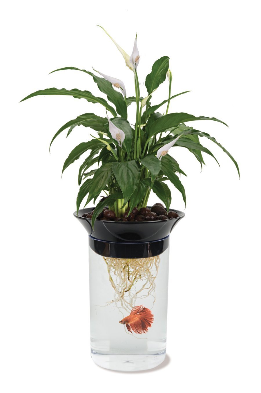 Penn-Plax Apon1 planter-aquaponie : habitat symbiotique betta et plantes.