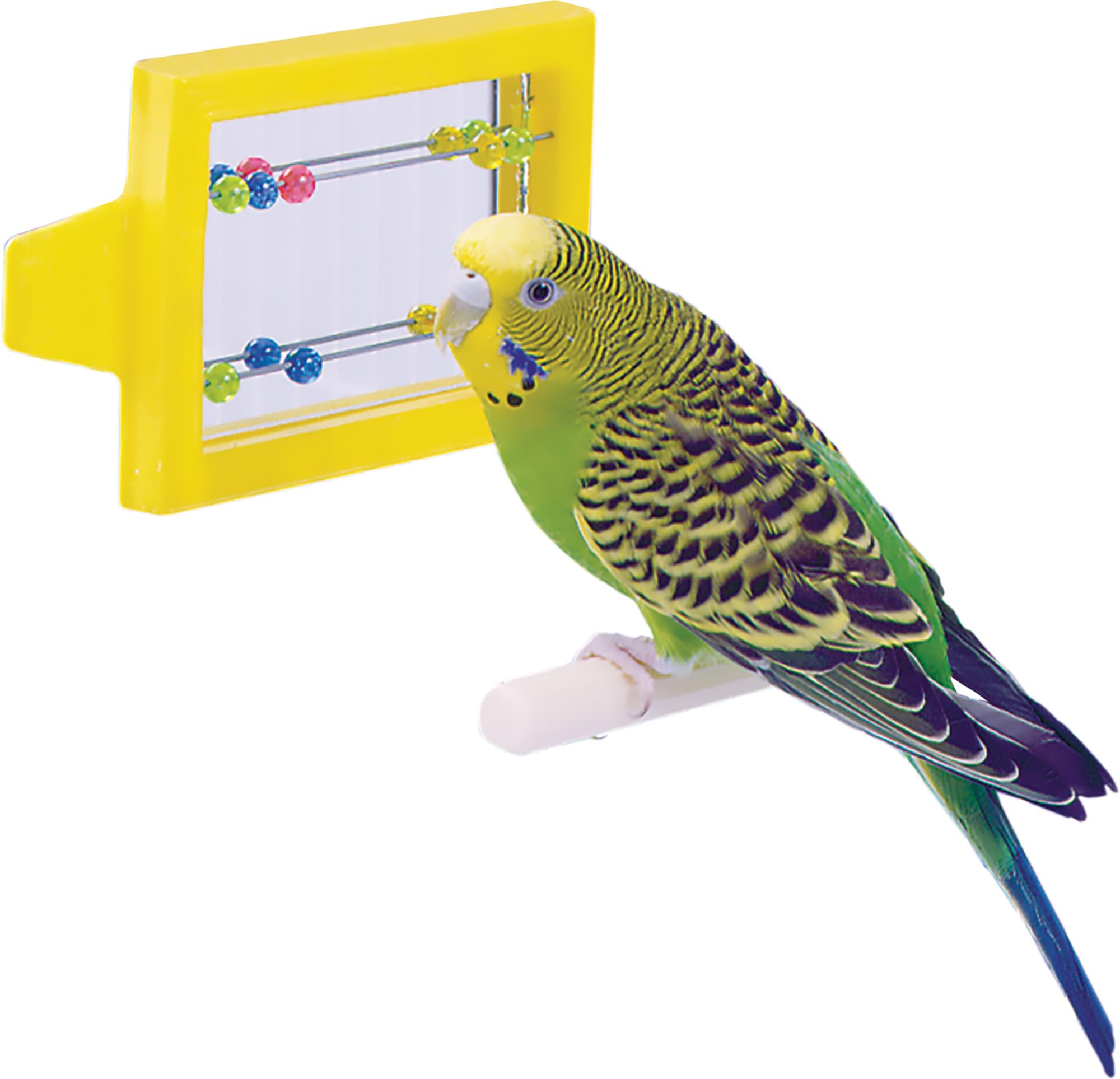 Penn-Plax Bird Life divertissement petits oiseaux: moments de découverte et jeu.