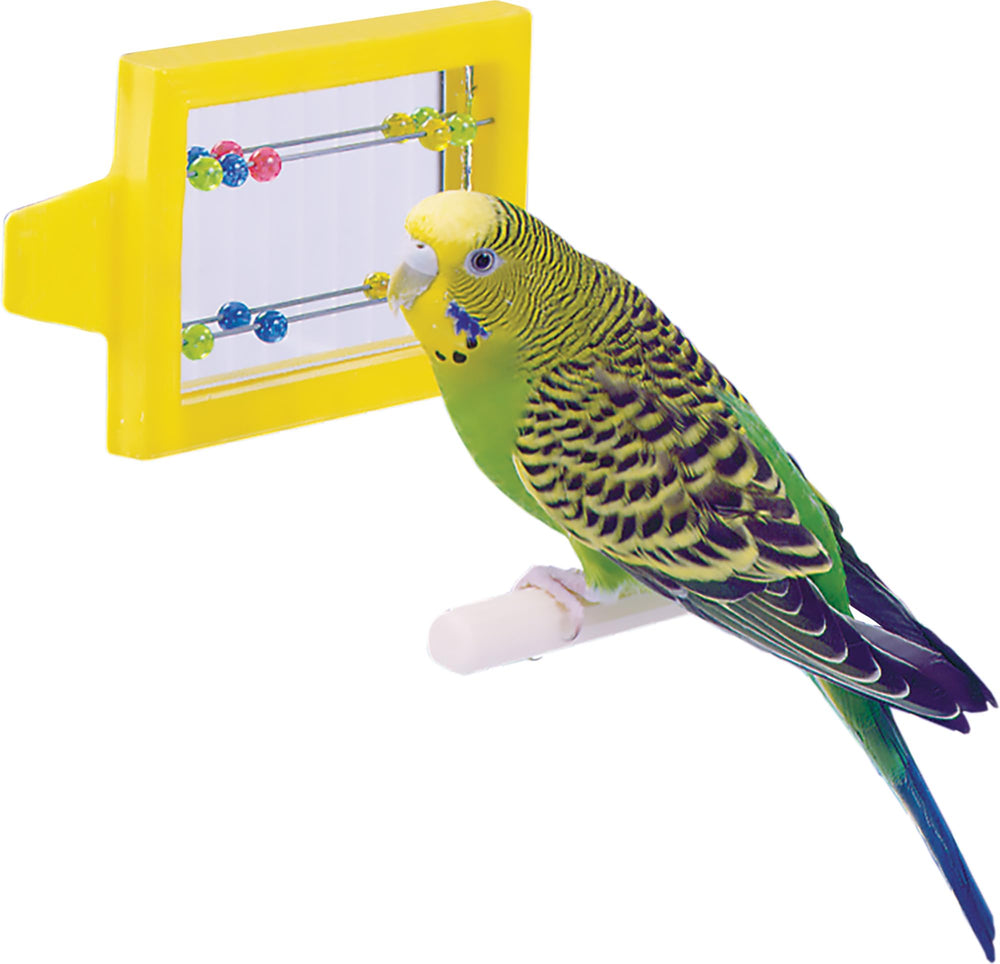 Penn-Plax Bird Life divertissement petits oiseaux: moments de découverte et jeu.