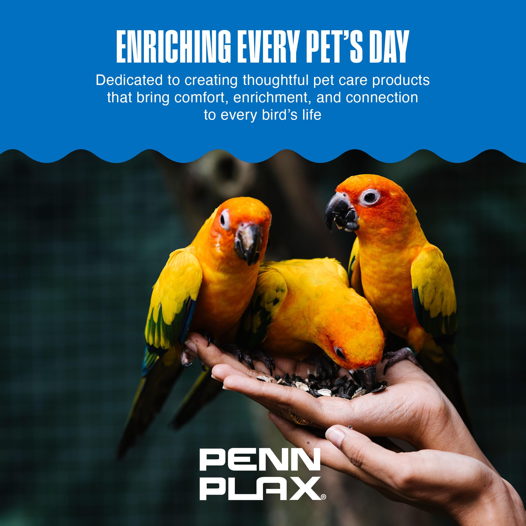 Penn-Plax Bird-Life E-Cuttlebone utilisation quotidienne: régal stimulant et naturel.