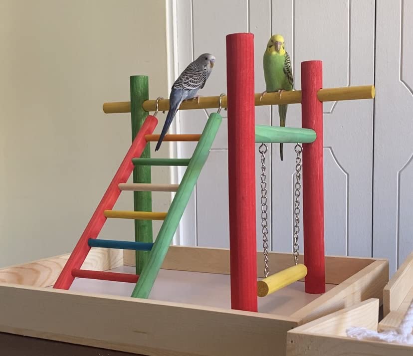 Penn-Plax Bird Life Playpen bois naturel, design discret et apaisant