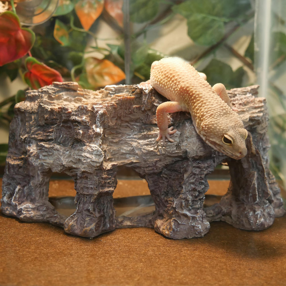 Grotto Penn-Plax cachette sûre pour reptiles, amphibiens et poissons