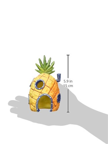 Penn-Plax maison-ananas 6 pouces, pièce centrale colorée