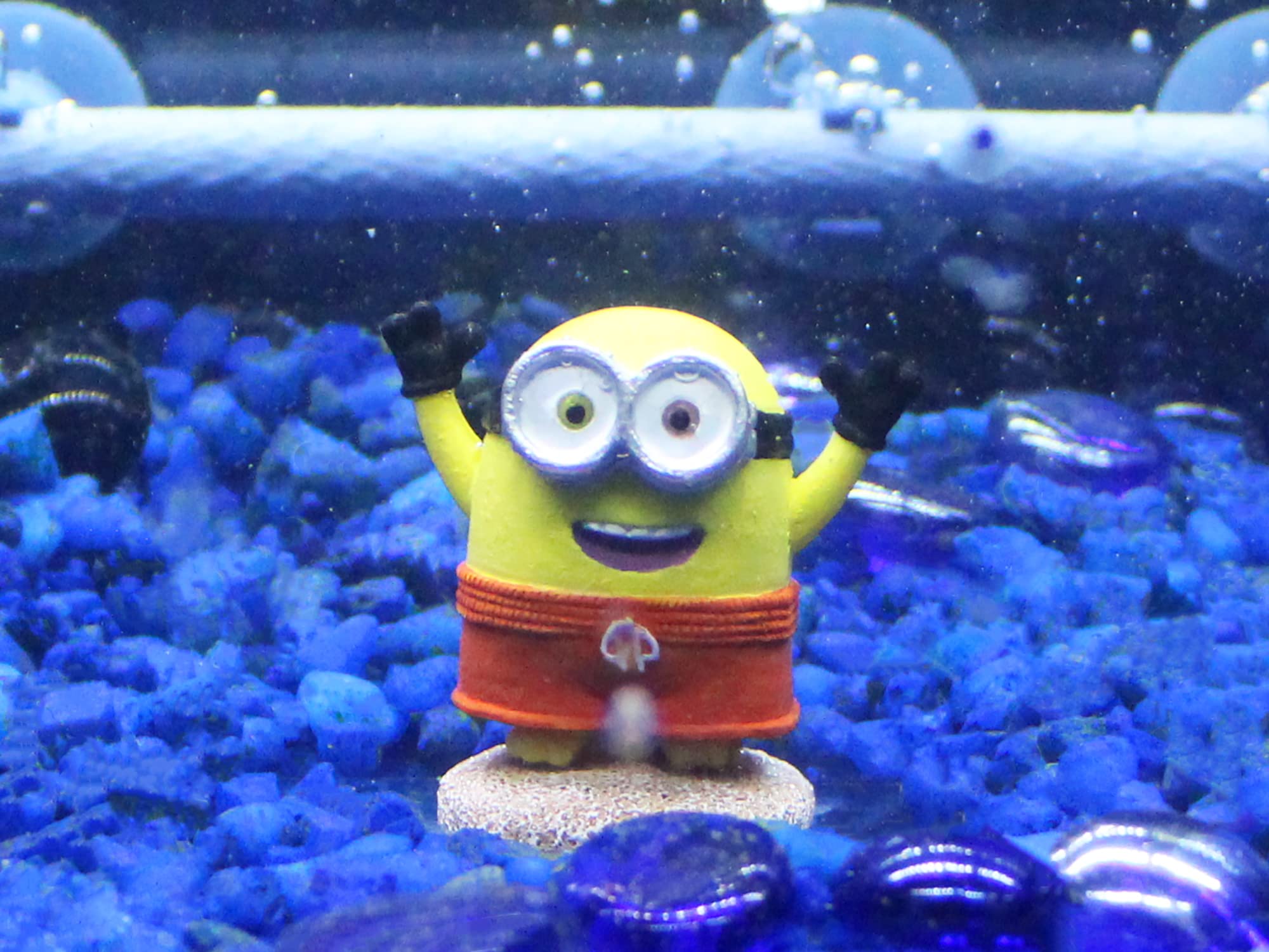 Penn-Plax Bob: ornement d’aquarium plage, parfait pour amuser enfants et adultes.