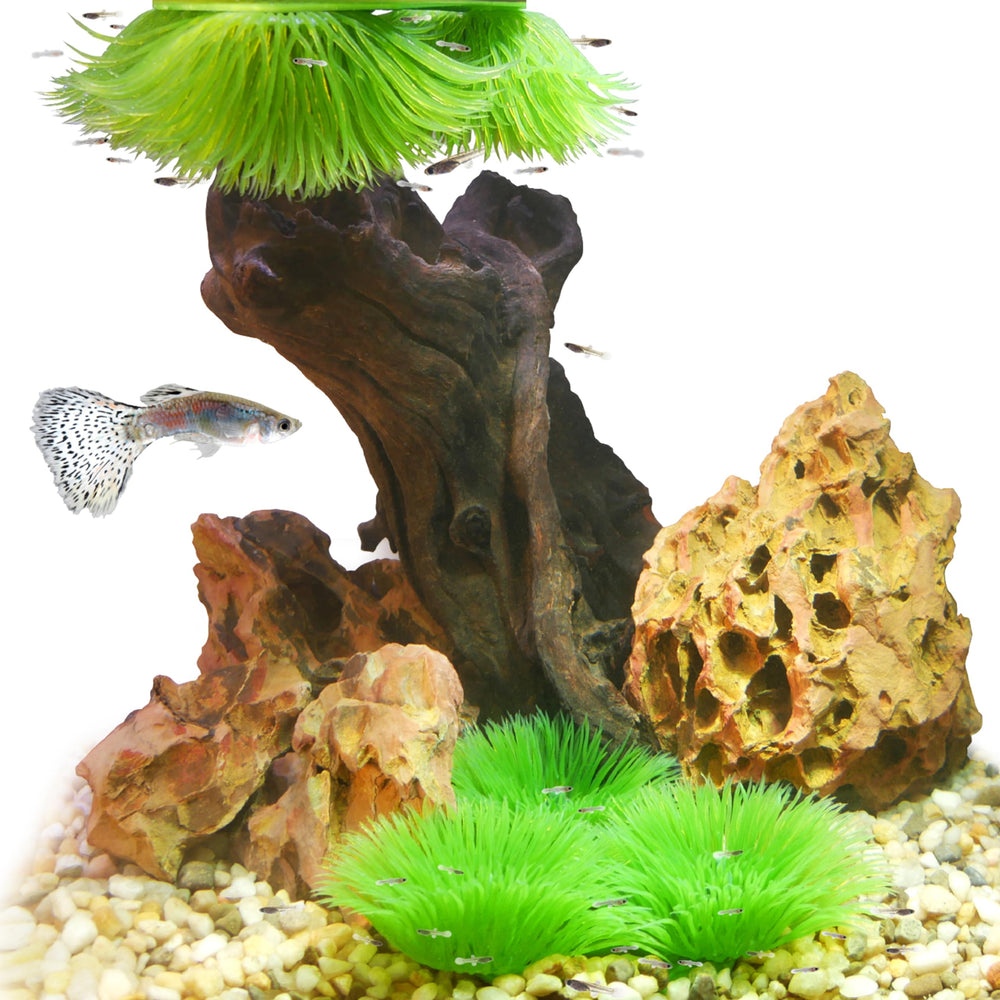 Penn-Plax plante d'aquarium adaptée à eau douce et salée.