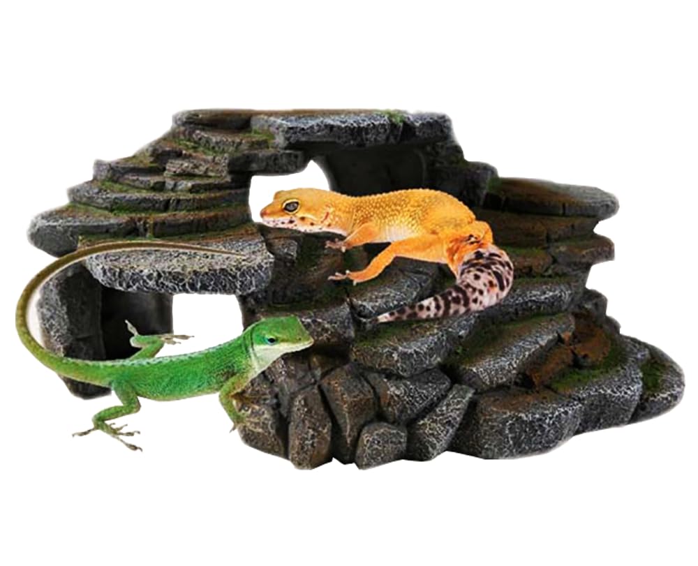 PENN-PLAX Reptology Shale Scape Climbing Platform : parfait pour grimper et se réchauffer.