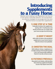 Pennwoods GI Renew digestion-cheval contribue à un système digestif plus stable.