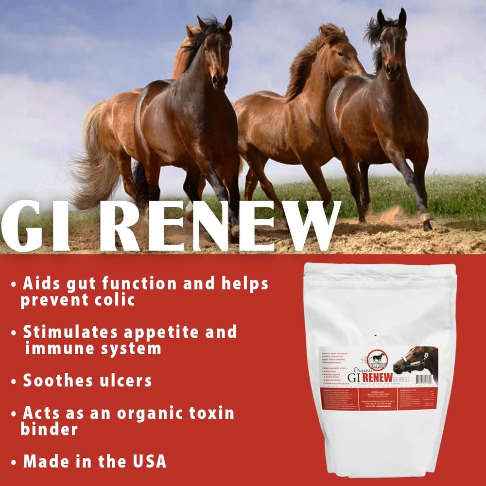 Pennwoods GI Renew prebiotiques-enzymes favorisent une digestion saine et un appétit régulier.