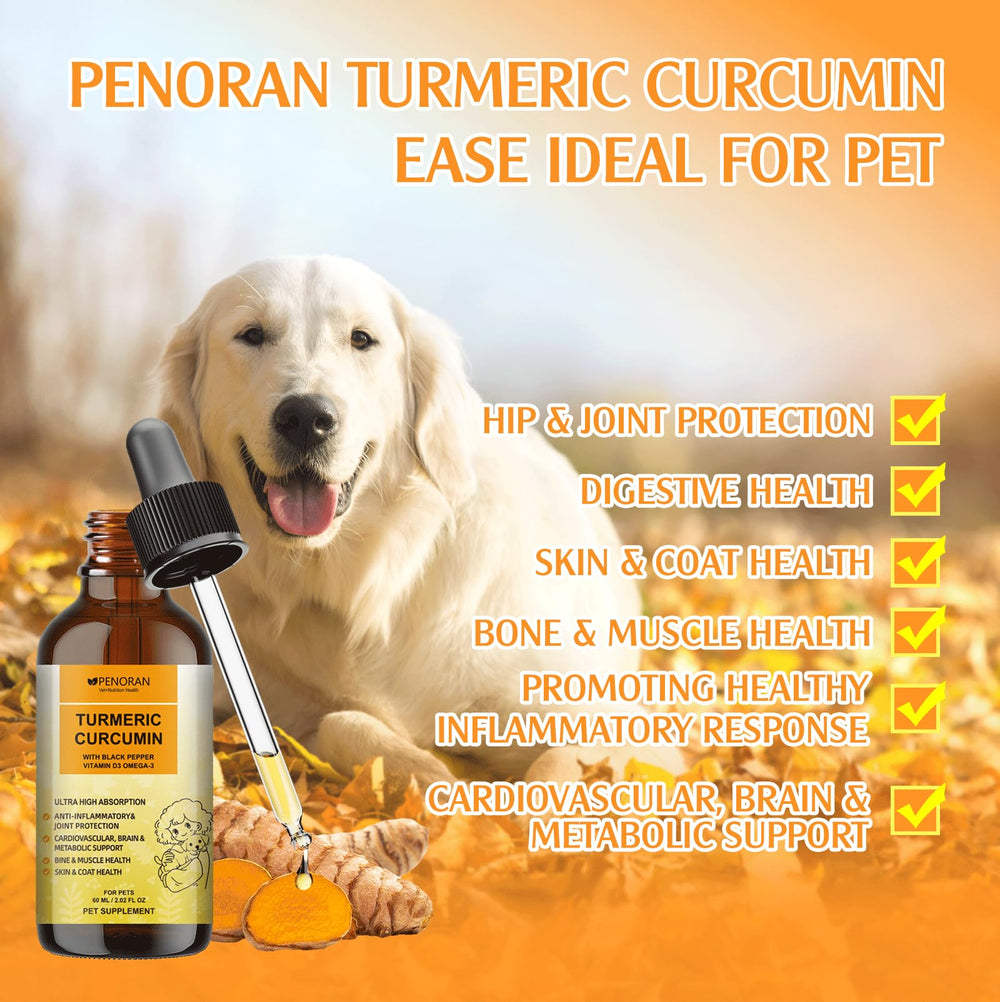 Formule naturelle Penoran Curcuma sans additifs artificiels.