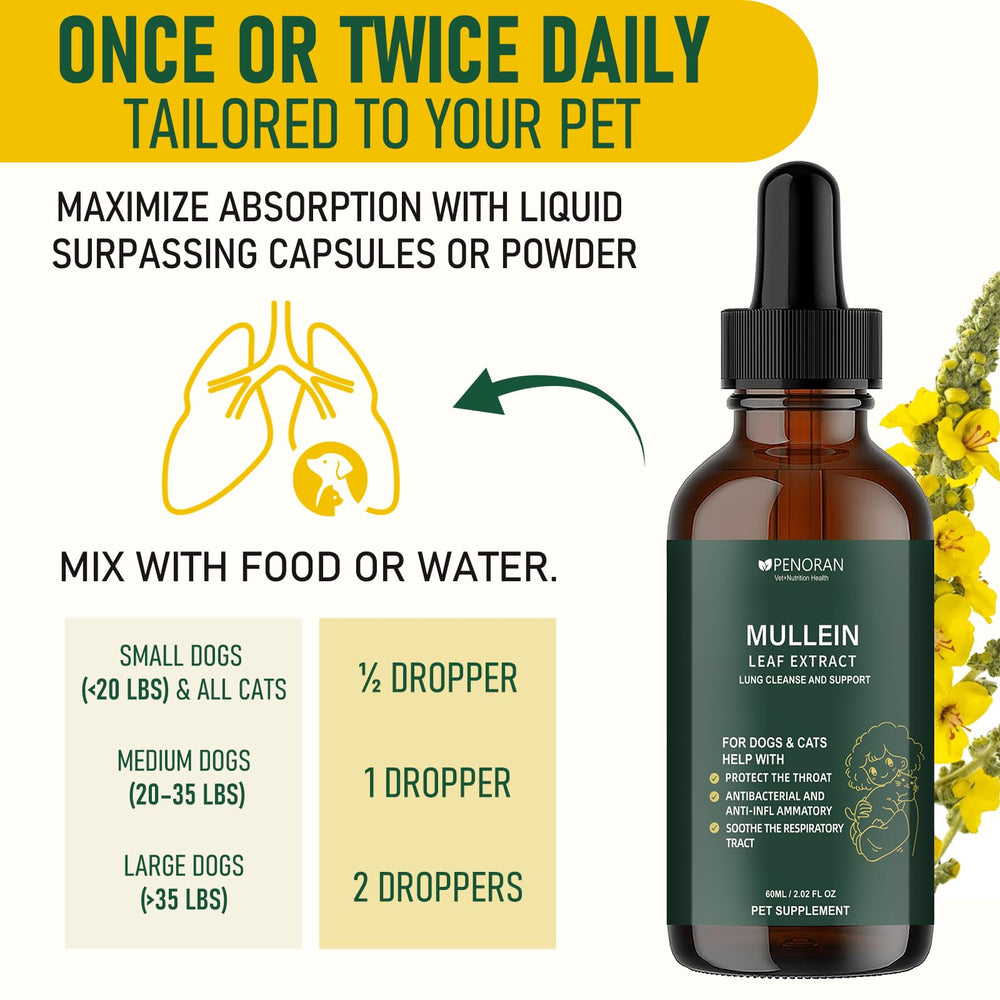 Penoran extrait molene chlorophylle, soutien immunitaire et santé générale.