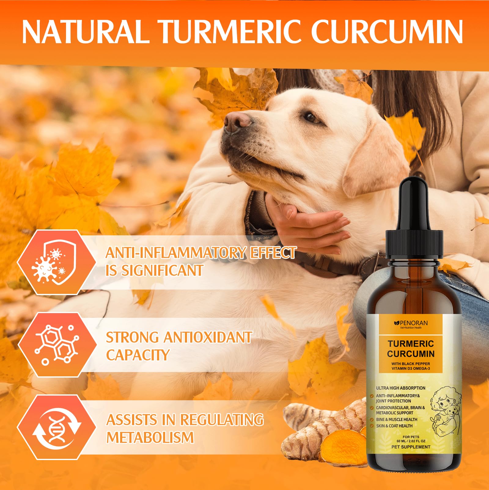 Goutte Penoran Curcuma; dosage précis pour chiens difficiles à nourrir.