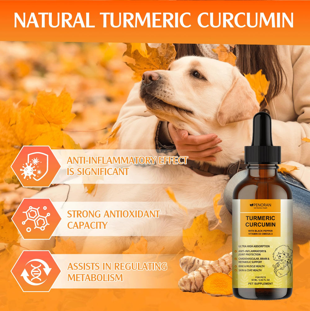 Goutte Penoran Curcuma; dosage précis pour chiens difficiles à nourrir.
