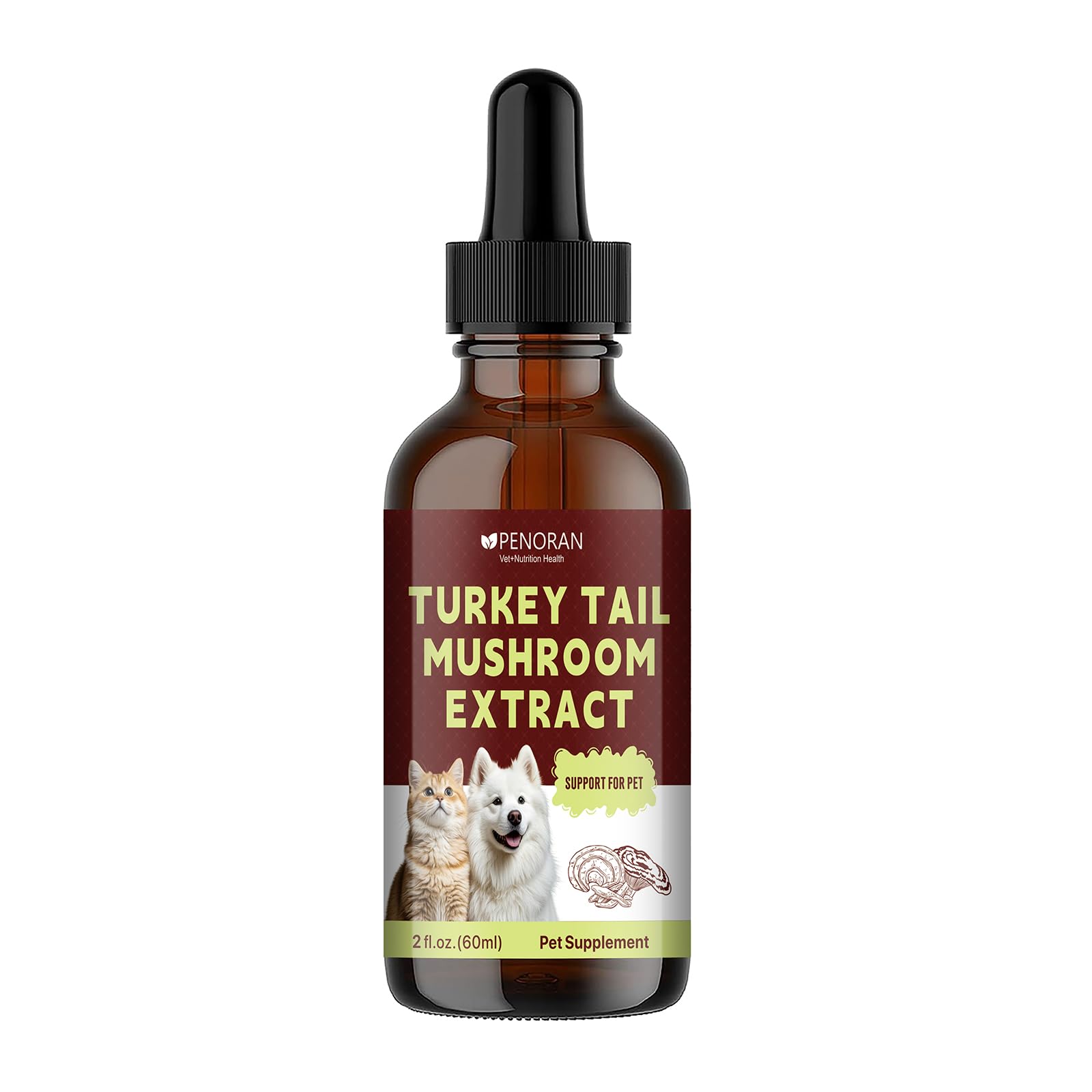 Penoran Turkey Tail soutien post chirurgie, aide au rétablissement.