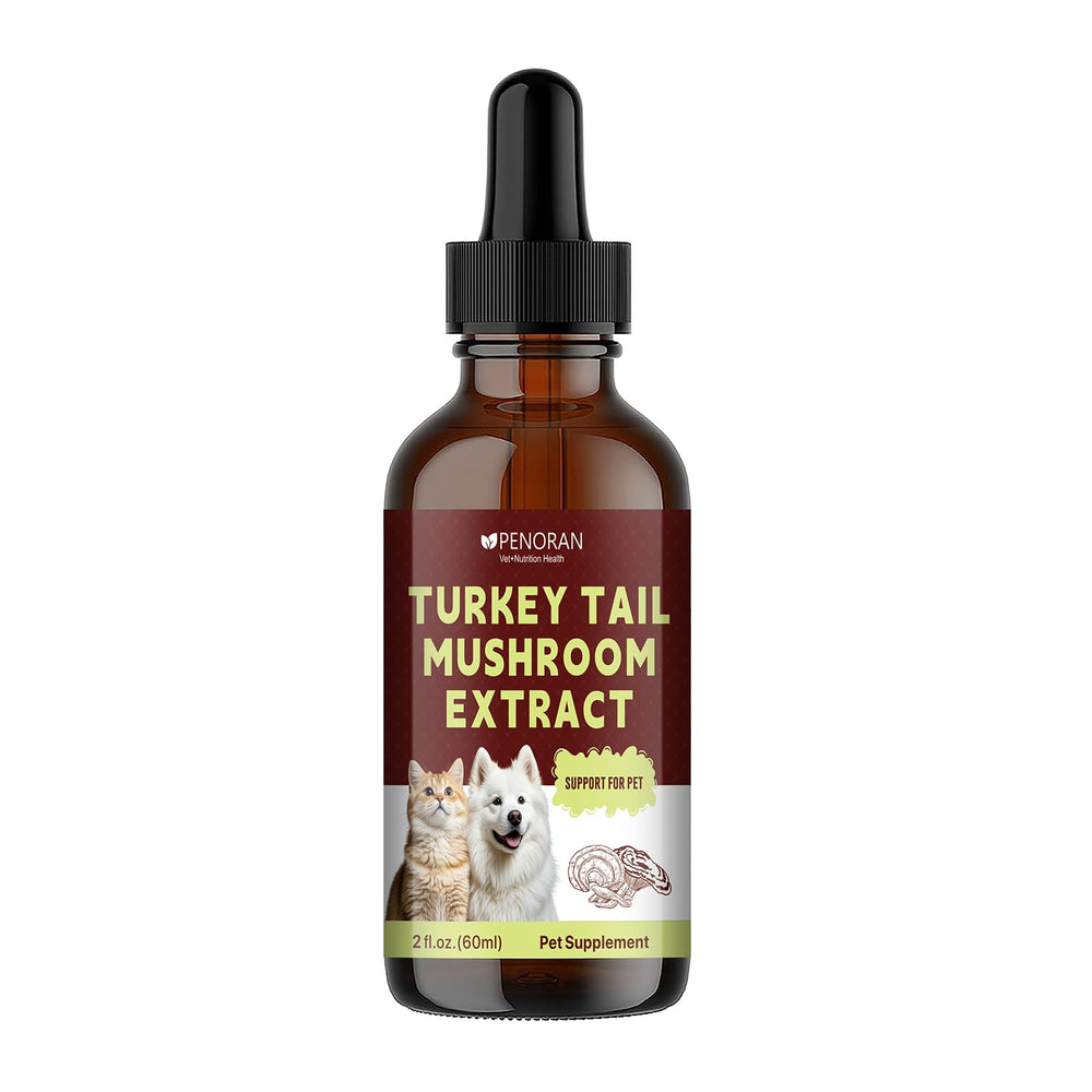Penoran Turkey Tail soutien post chirurgie, aide au rétablissement.