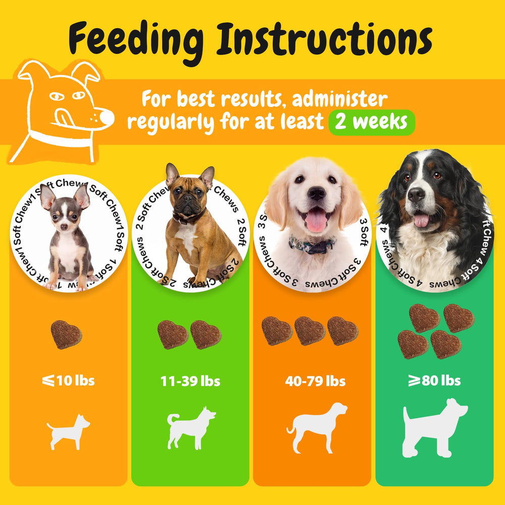 PENPEN Probiotiques pour chiens, dosage quotidien pratique.