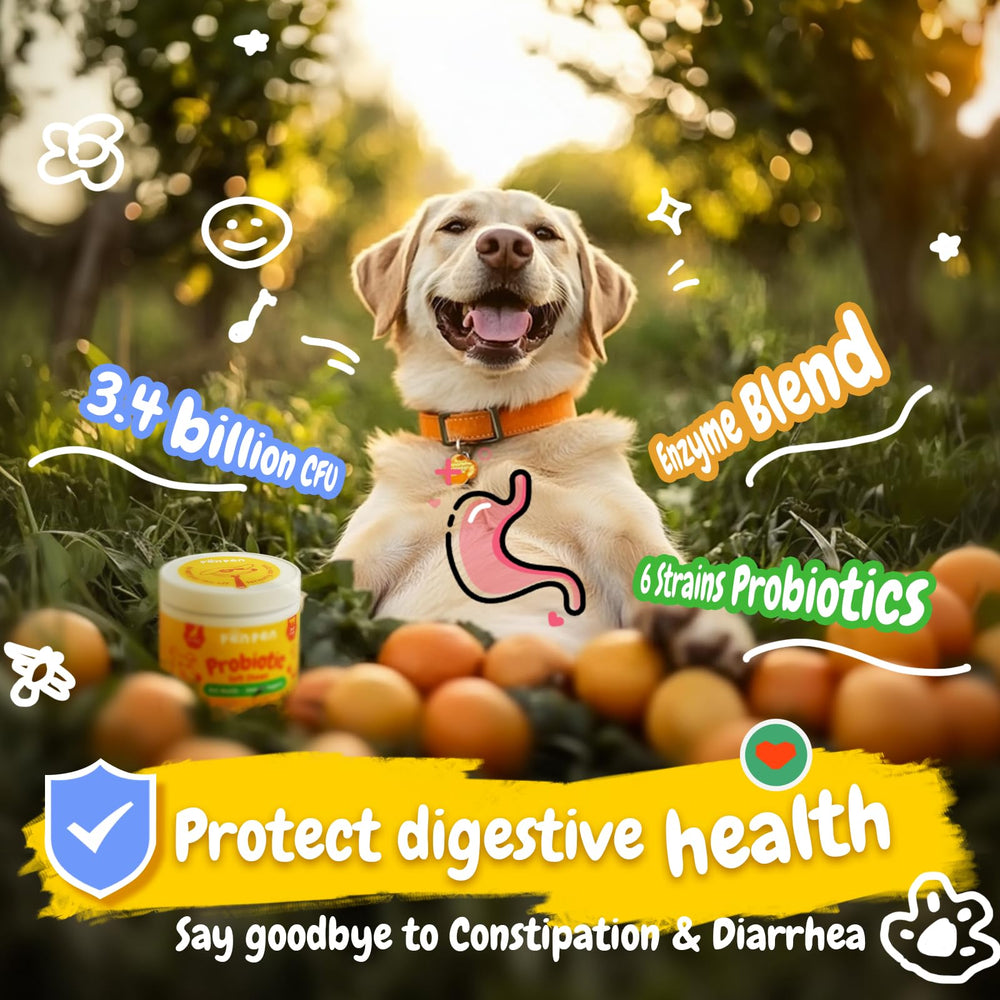 PENPEN Probiotiques chien – gomme-boeuf, ingrédients naturels sans allergènes.