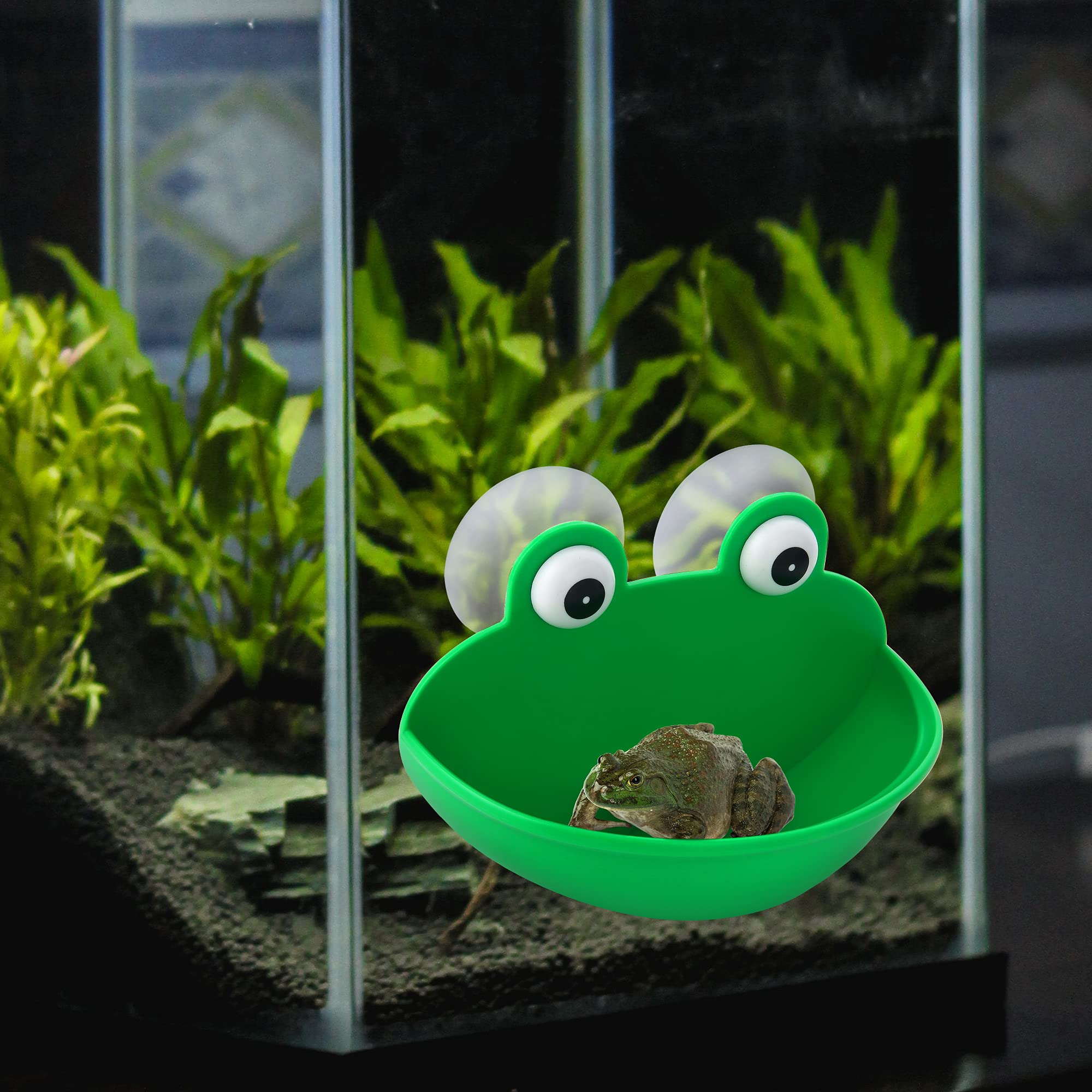 Pensino Habitat Grenouille – taille compacte adaptée aux petits reptiles et amphibiens.