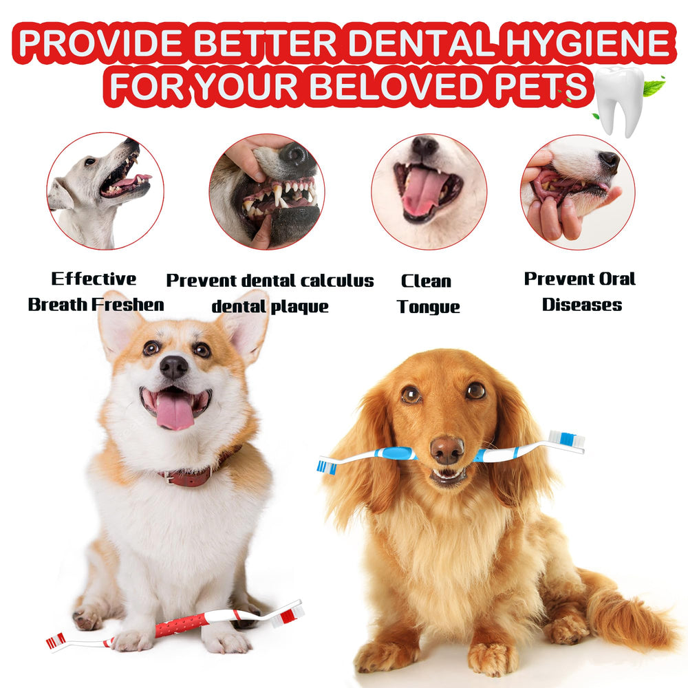 PenVinoo brosse dentaire chien tête double couleur jaune, usage quotidien pratique
