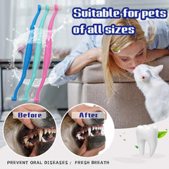 Brosse PenVinoo tête miniature pour zones délicates entre les dents des animaux.