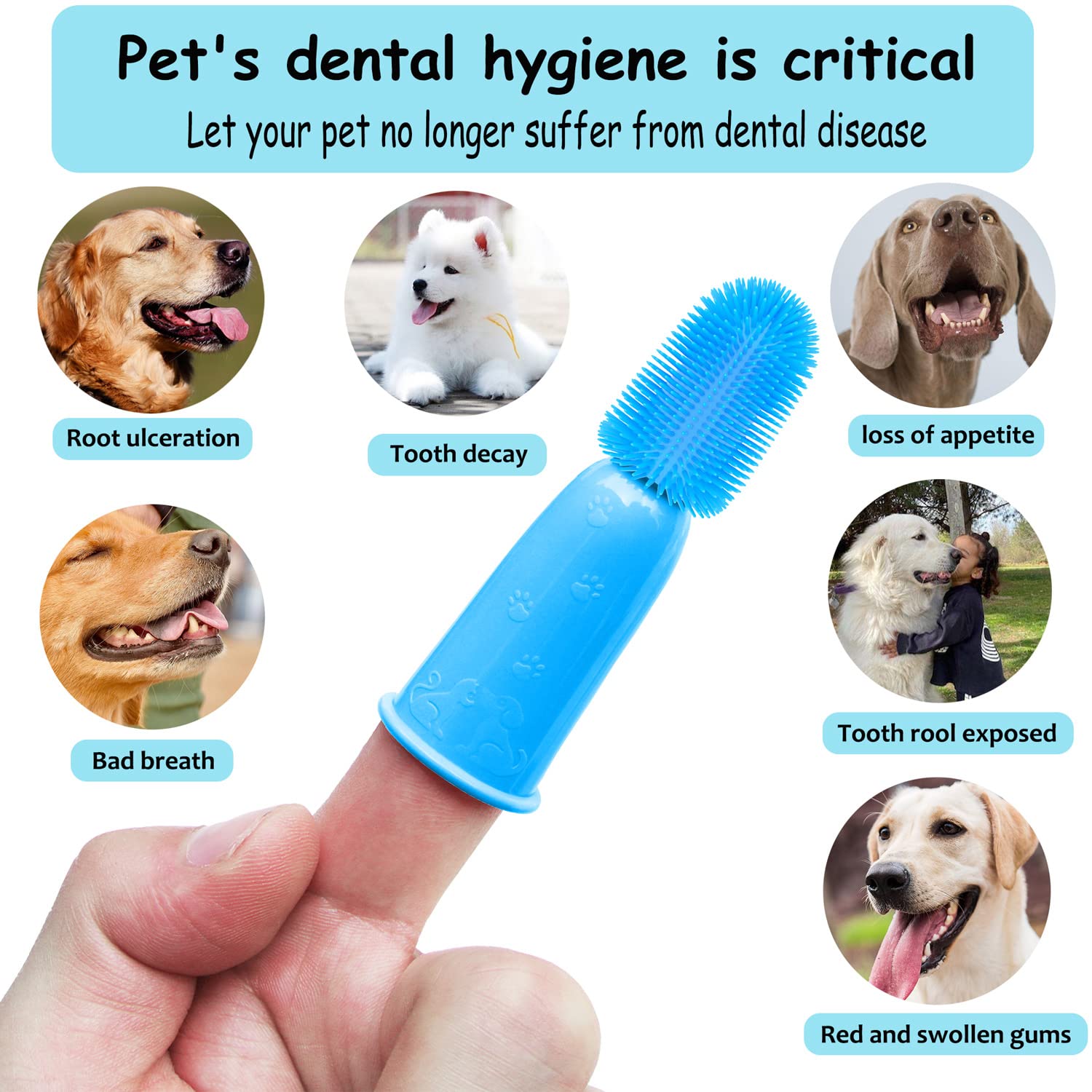 PenVinoo ensemble dentaire pour chiens, kit complet pour soins