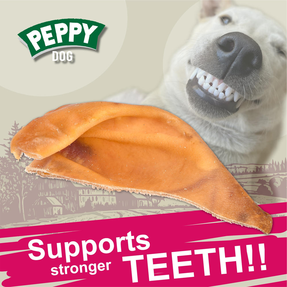 PEPPY DOG emballage sans additifs – option saine pour chien.