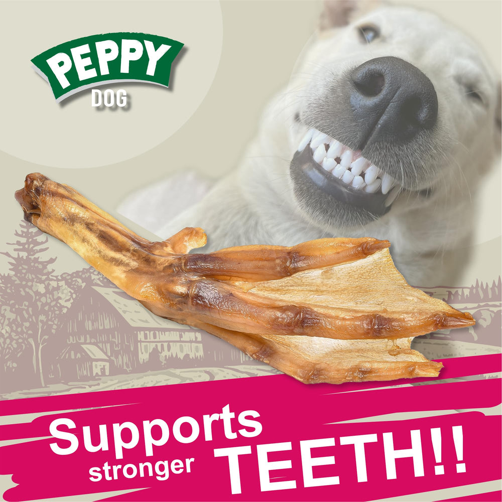 PEPPY DOG hygiène dentaire détail, contribue au nettoyage des dents