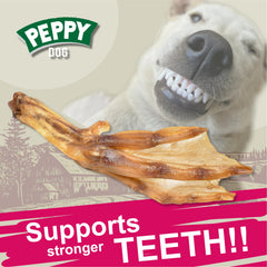 PEPPY DOG hygiène dentaire détail, contribue au nettoyage des dents