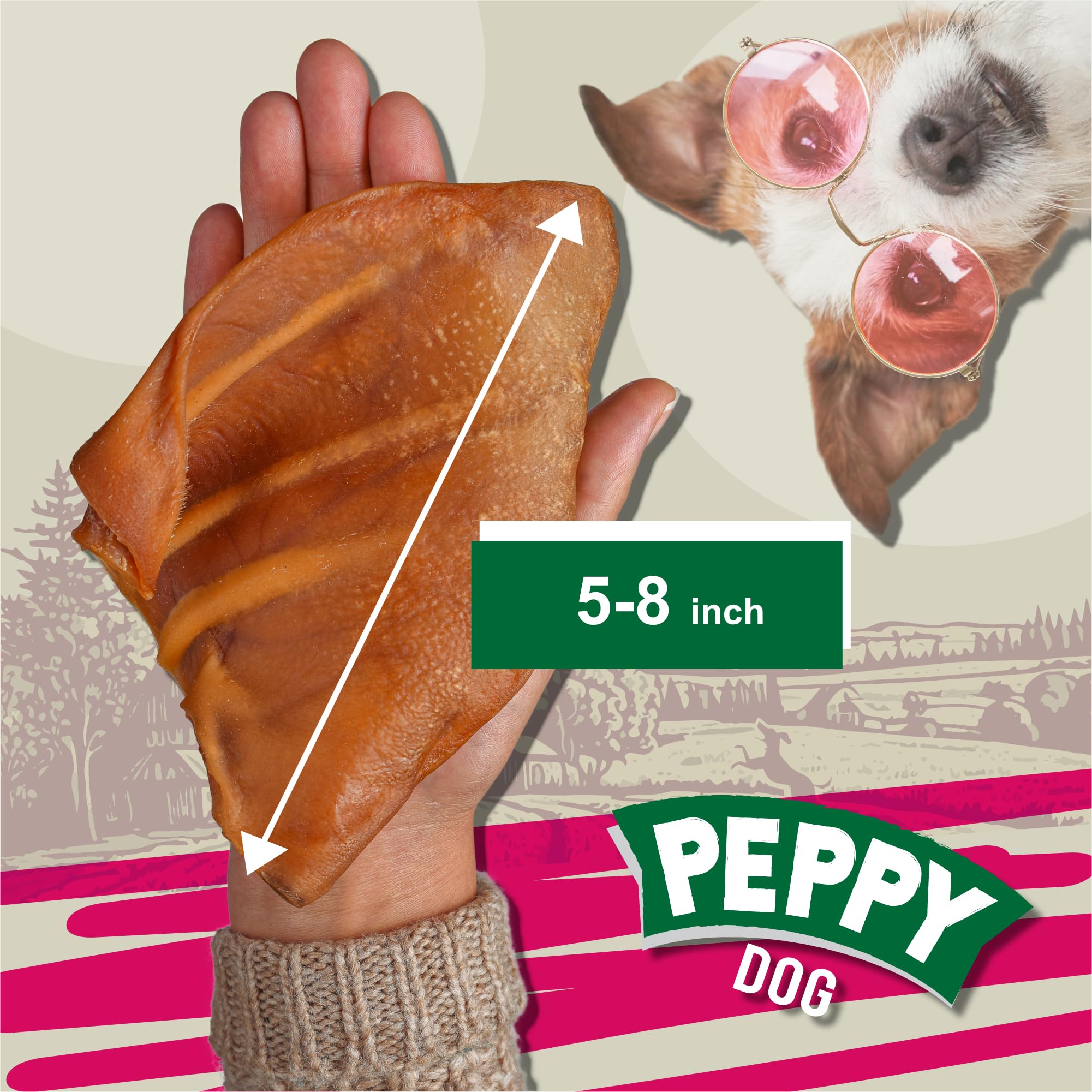 Gros plan sur l'oreille de porc – texture naturelle idéale pour la mastication.