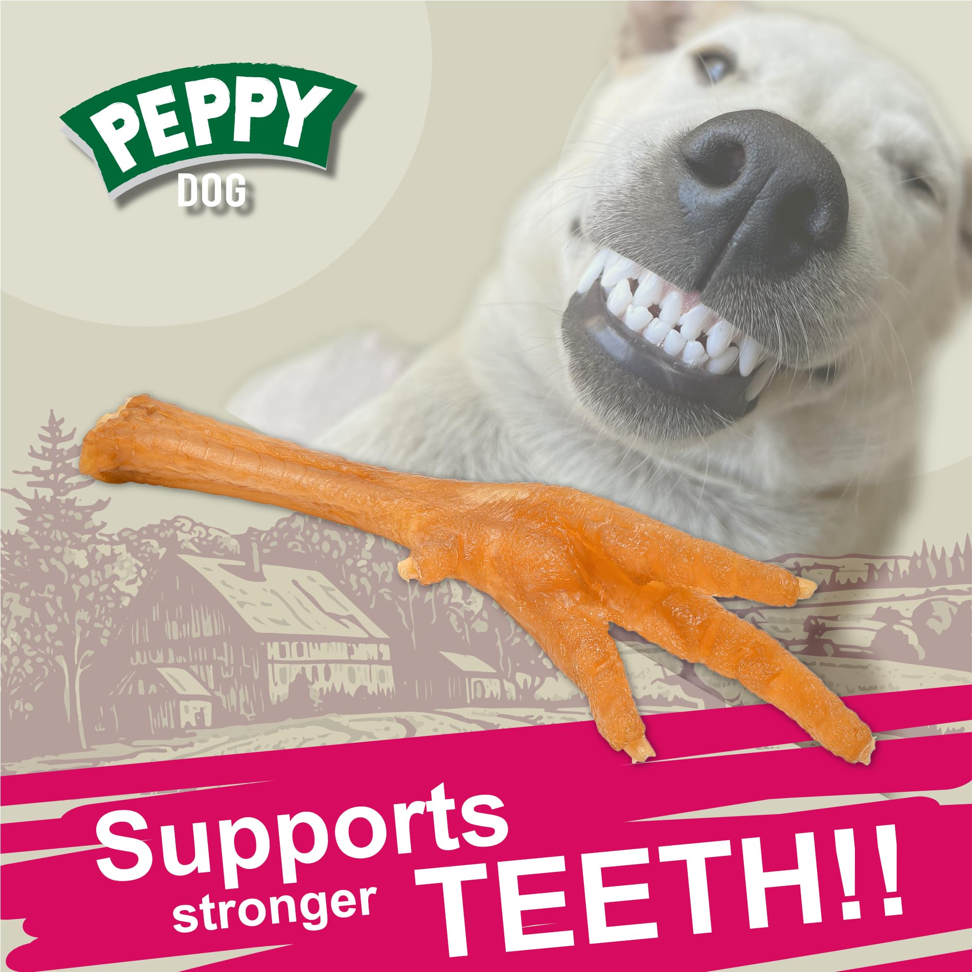 PEPPY DOG – Soutien potentiel des articulations grâce à la glucosamine
