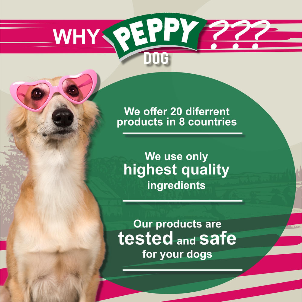Peppydog jouet récompense mastication: divertissement sain et stimulant.