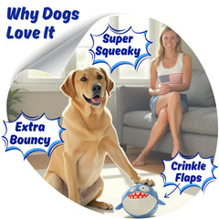 Balle intérieure cachée et rebondissante pour jeux dynamiques.