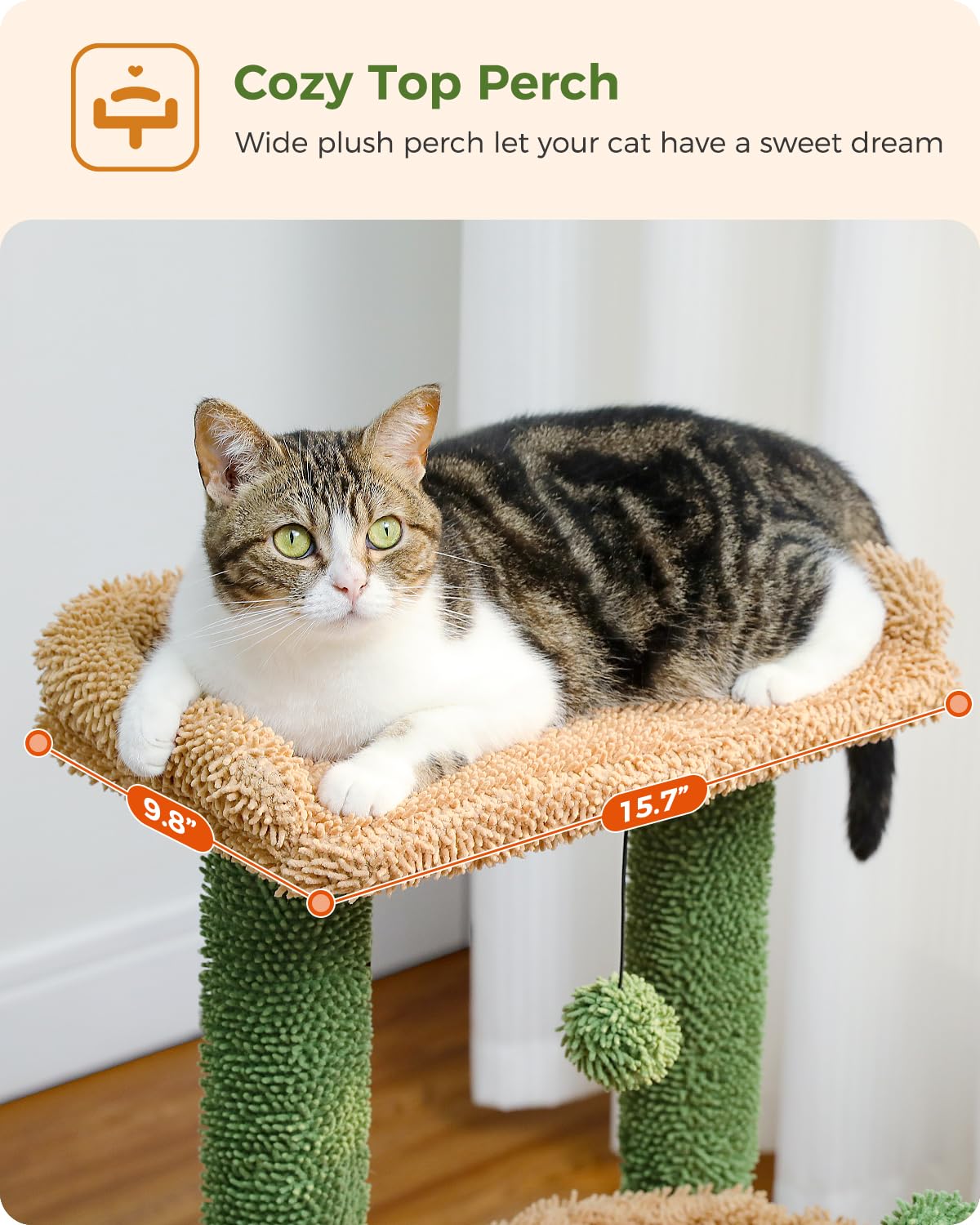 PEQULTI arbre chat cactus 4-en-1, assemblage simple et rapide.