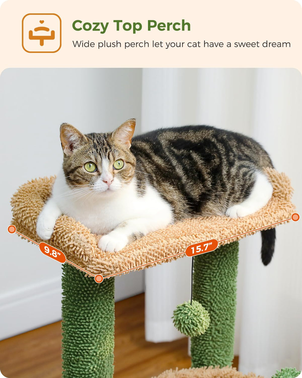 PEQULTI arbre chat cactus 4-en-1, assemblage simple et rapide.