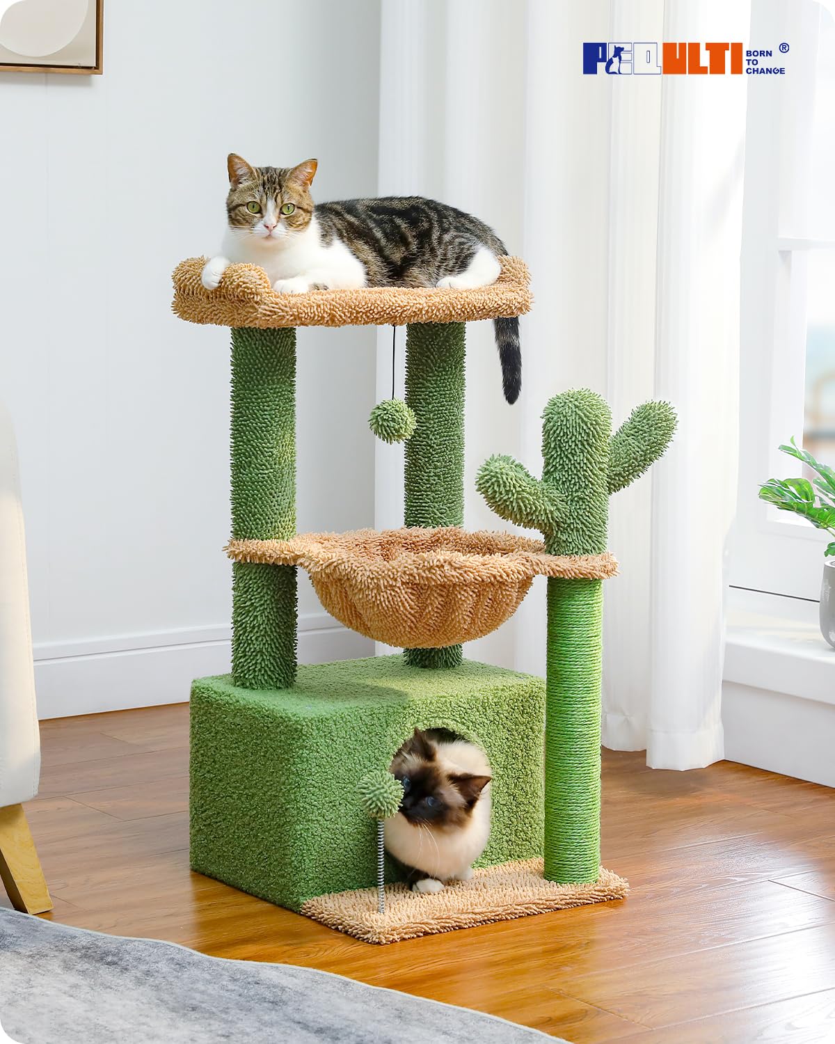 PEQULTI arbre chat cactus 4-en-1, condo spacieux pour repos privé et sécurisé.