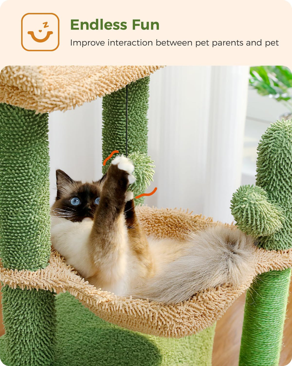 PEQULTI arbre chat cactus 4-en-1, design intérieur élégant.
