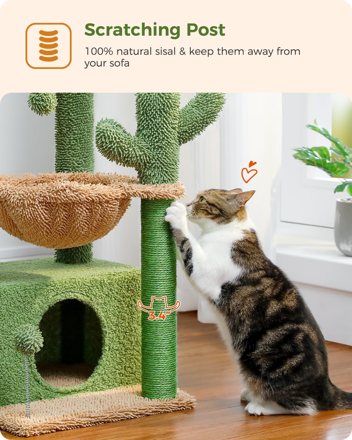 PEQULTI arbre chat cactus 4-en-1, hamac confort pour sieste relaxante.