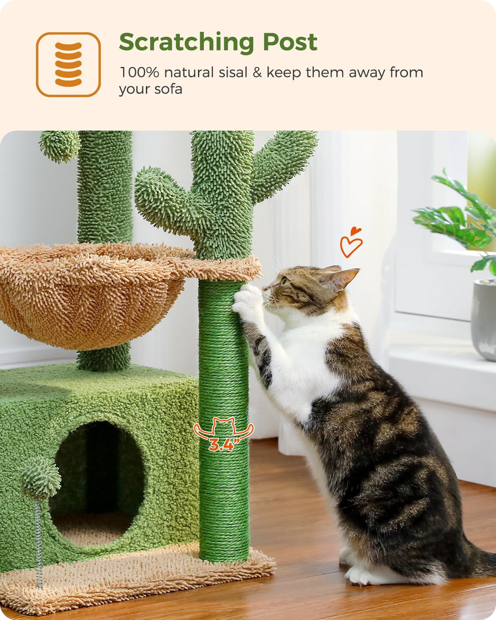 PEQULTI arbre chat cactus 4-en-1, hamac confort pour sieste relaxante.