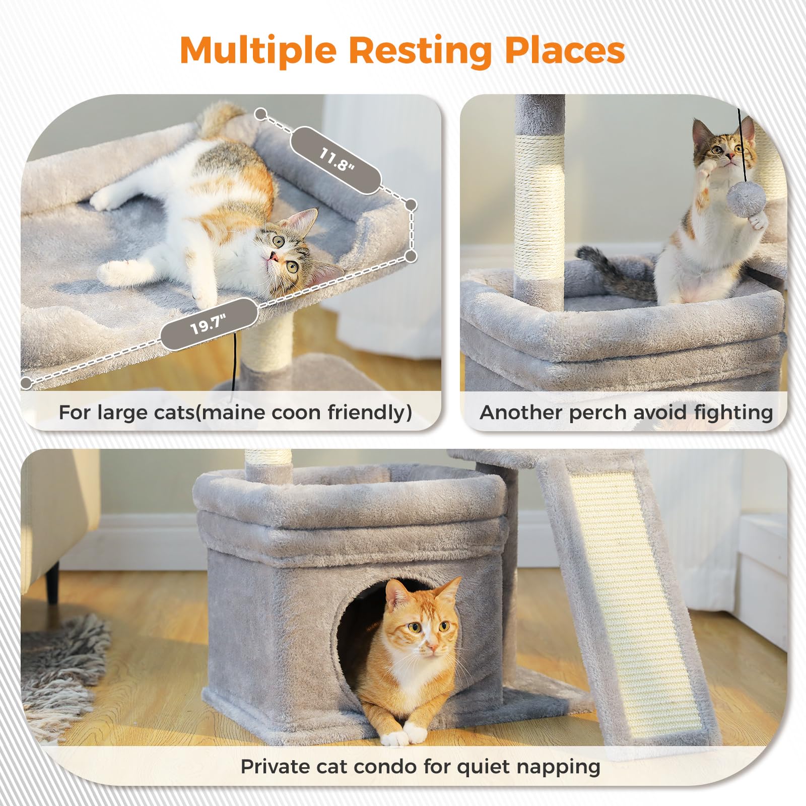 PEQULTI condo privé pour chats: calme et intimité en hauteur