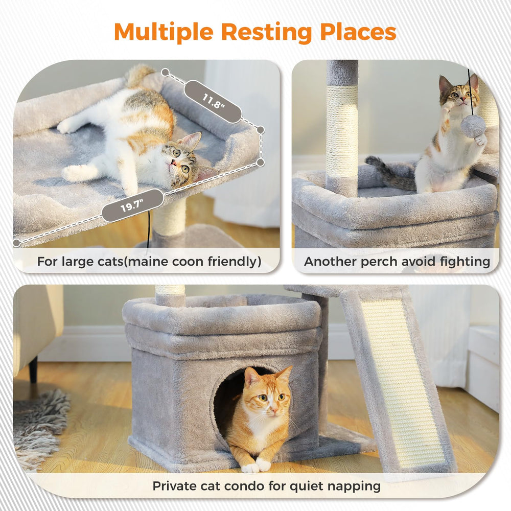PEQULTI condo privé pour chats: calme et intimité en hauteur